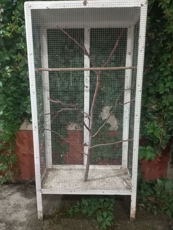 Kotta valer sotiladi qushla uchun Kotta valer sotiladi qushla uchun