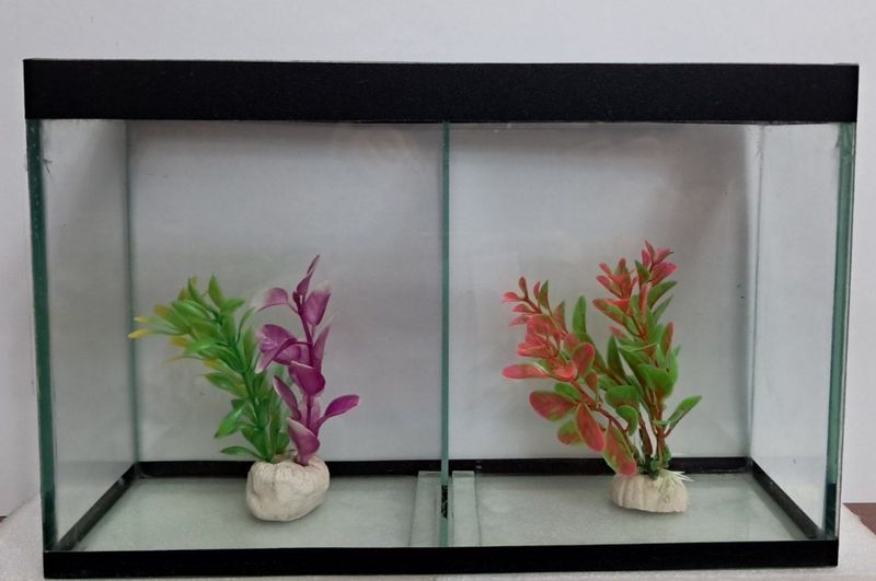 2ga bo'linadigan akvarium sotiladi 2ga bo'linadigan akvarium sotiladi