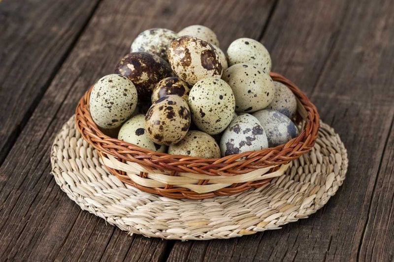 Bedana tuxum Домашние свежие перепелиные яйца Натуральный вкус и полза Bedana tuxum Домашние свежие перепелиные яйца Натуральный вкус и полза
