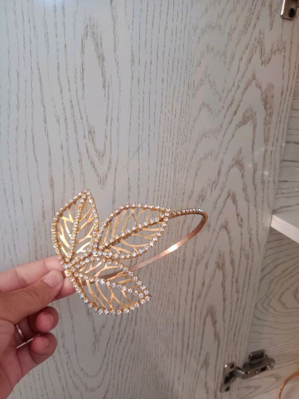 diadema diadema