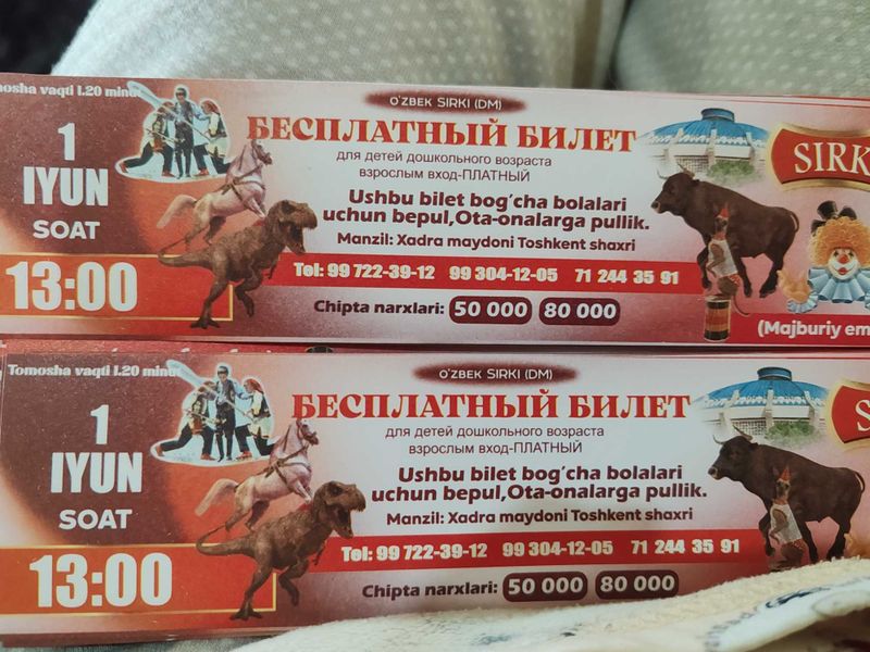 Билеты в цирк для детей Билеты в цирк для детей