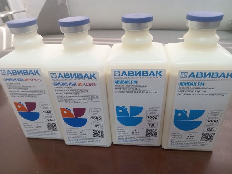 Товукларни юкумли касалликларга Карши вакциналар Товукларни юкумли касалликларга Карши вакциналар
