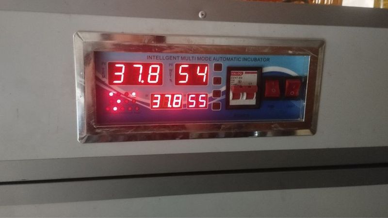 Продаётся Инкубатор 1056 Продаётся Инкубатор 1056