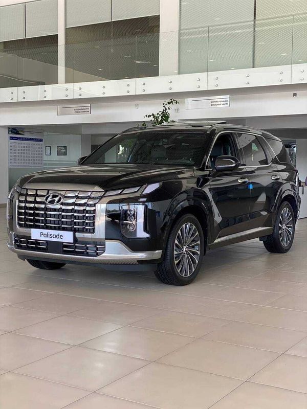 Hyundai Palisade Calligraphy