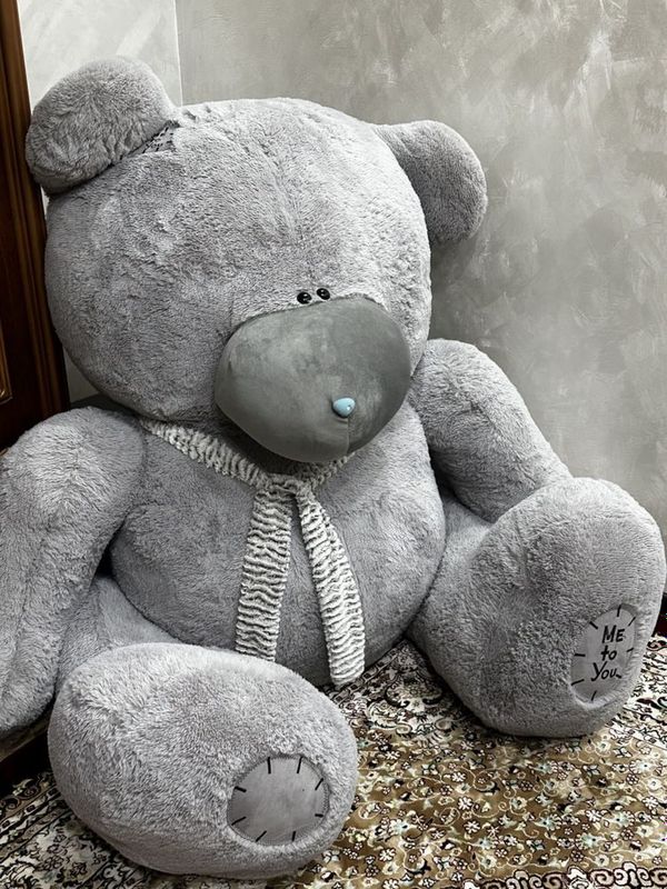 Teddy ayiq eng kottasi Teddy ayiq eng kottasi