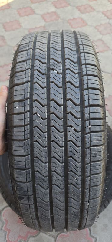 kornet r15 cobalt