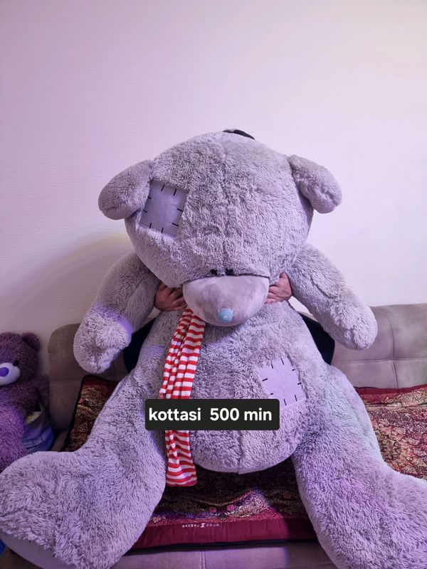 Teddy Teddy