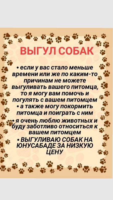 выгул собак на юнусабаде выгул собак на юнусабаде