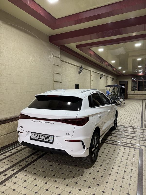 Byd E2 Luxury Byd E2 Luxury