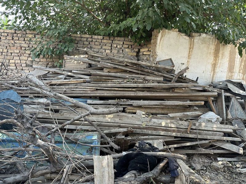 Tahtalar bor arzimagan pulga berivoraman Tahtalar bor arzimagan pulga berivoraman