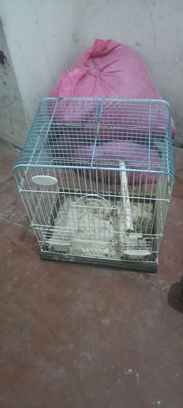 Qush ini sotiladi Qush ini sotiladi