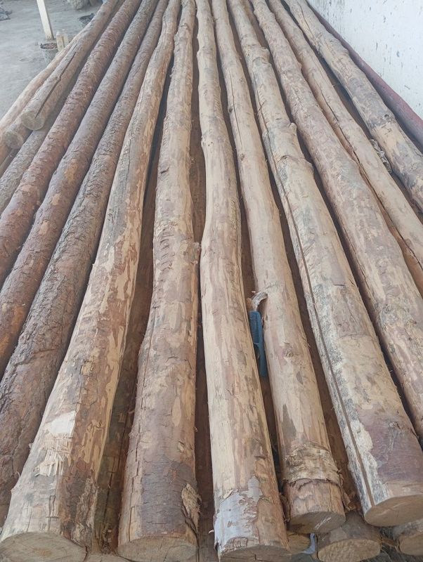 Bollor. posti olingan yangi ishlatilmagan Bollor. posti olingan yangi ishlatilmagan
