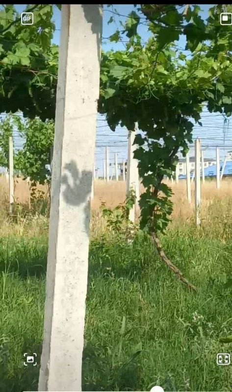Uzumzor uchun biton stoyka va tross Uzumzor uchun biton stoyka va tross