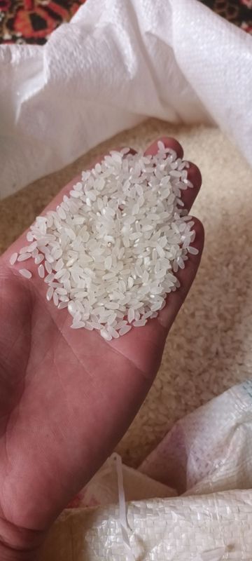 Guruch Eski xosildan ALANGA Guruch Eski xosildan ALANGA