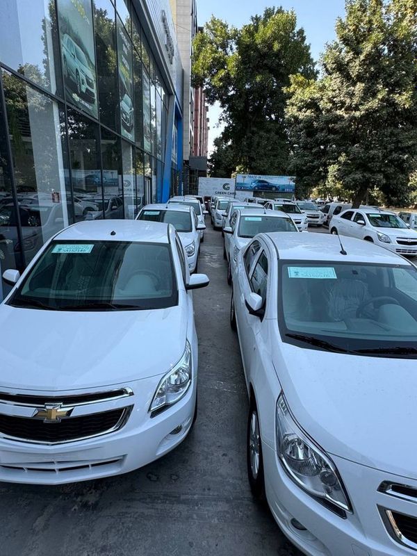Cobalt style plus, Bez probek, 2025 yil