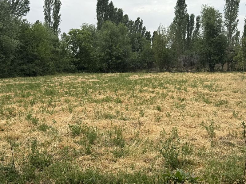 Продаётся участок Таш обл. Туйтепа Продаётся участок Таш обл. Туйтепа