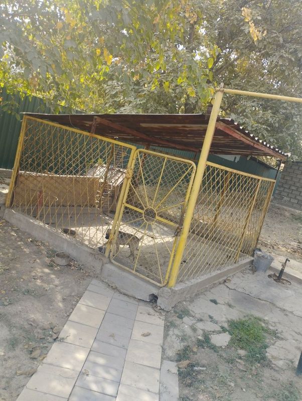 Продам вольер срочно из металла