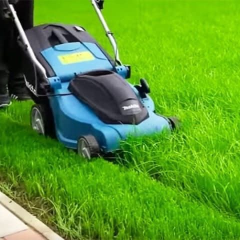 Gazon o’rish xizmati Gazon o’rish xizmati