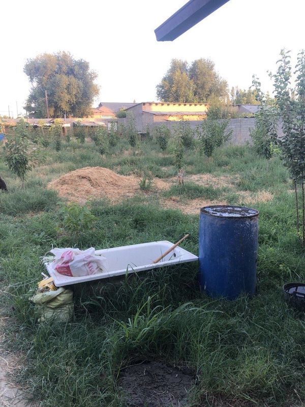 Аренда ховли 12 сотих чорвага зуржой Аренда ховли 12 сотих чорвага зуржой