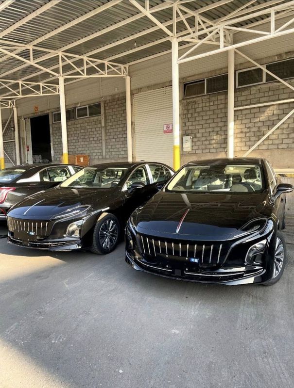 Hongqi Eqm5 500km