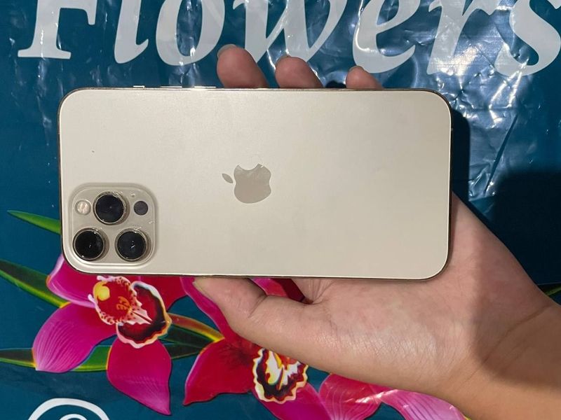 IPhone 12 pro max