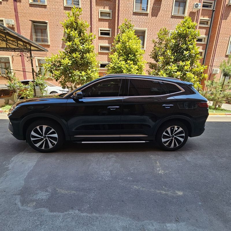 Byd champion 2024 йил Byd champion 2024 йил