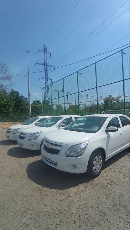 Cobalt GX Optima Cobalt GX Optima
