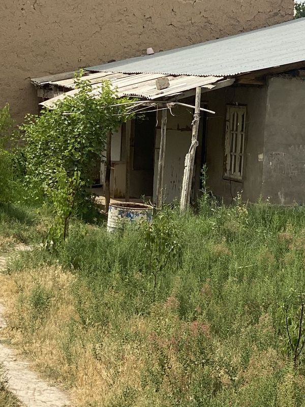 Nazarbeda 8 sotix hovli ijaraga oilaga beriladi Nazarbeda 8 sotix hovli ijaraga oilaga beriladi