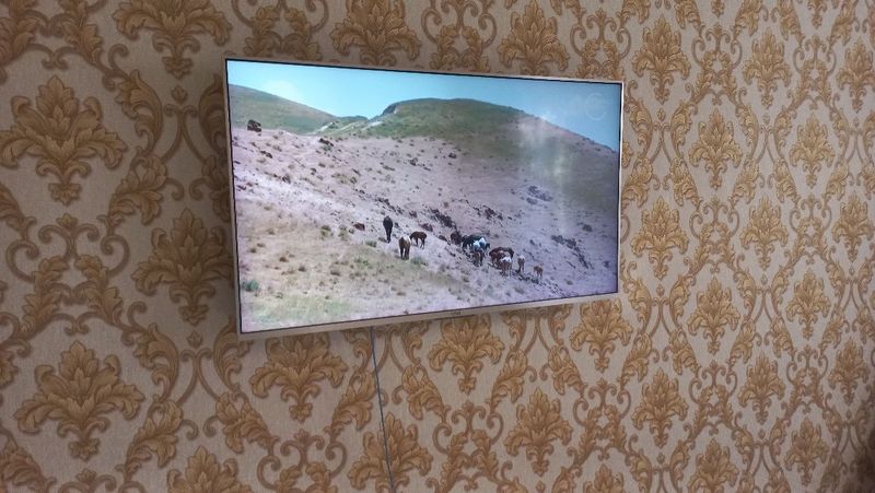 телевизор 55 артел телевизор 55 артел