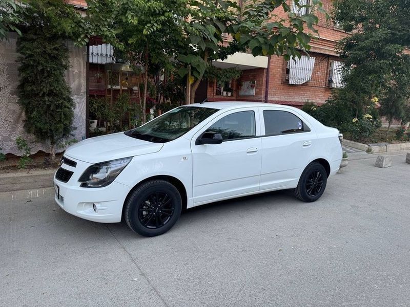 Cobalt midnight 2025 Cobalt midnight 2025