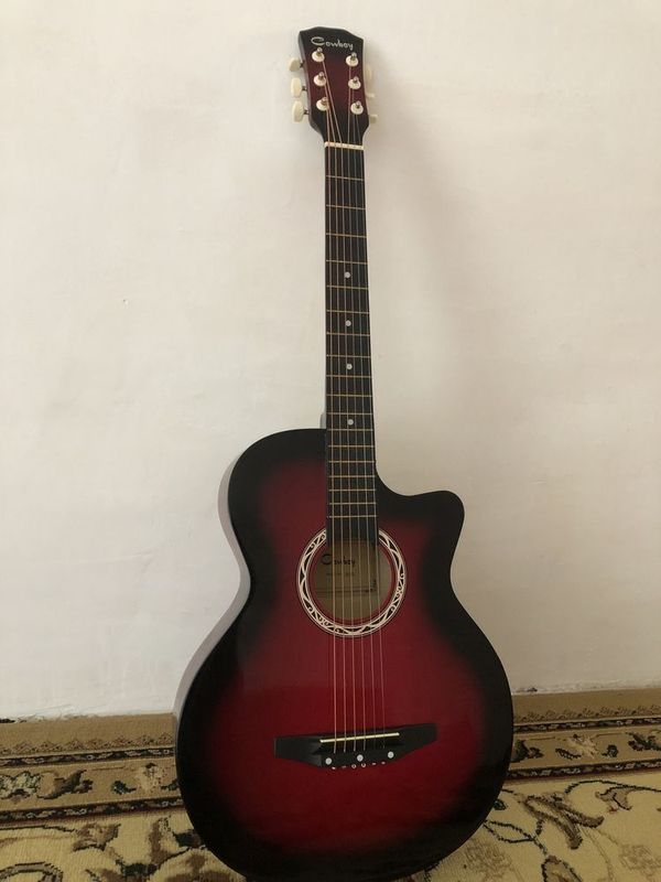 Gitara Cowboy3810