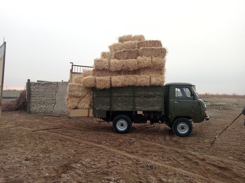 Uaz 469 bortavoy