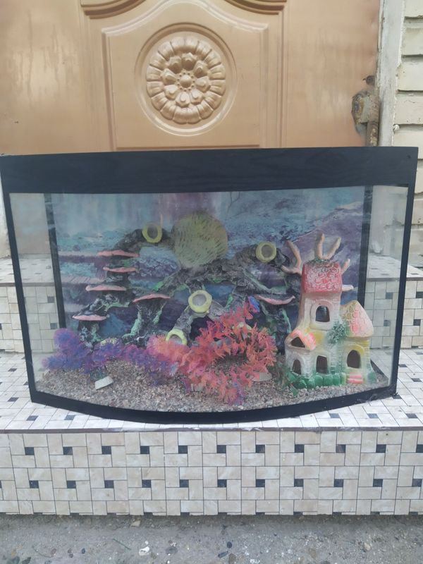 Akvarium 50 Litrlik Akvarium 50 Litrlik