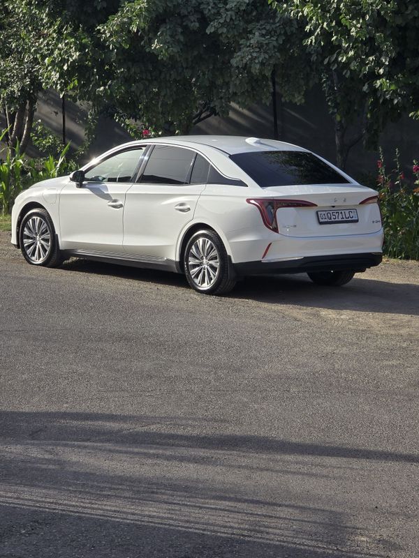 Hongqi eqm5 500 km oq