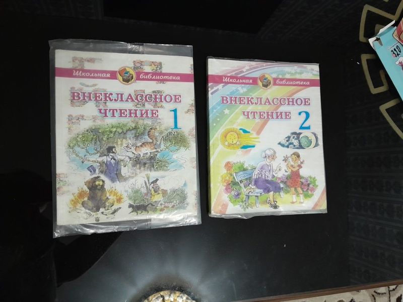 Продаются книги внеклассное чтение