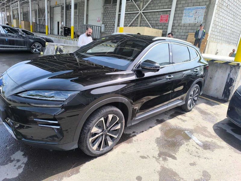 BYD Champion Yangi 24/25 reystaling BYD Champion Yangi 24/25 reystaling