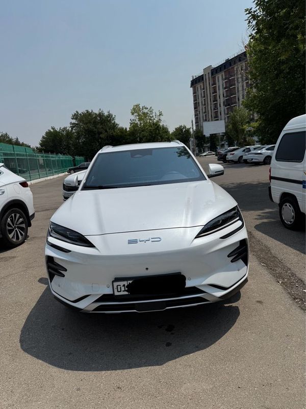 BYD chempion 605 fleship BYD chempion 605 fleship