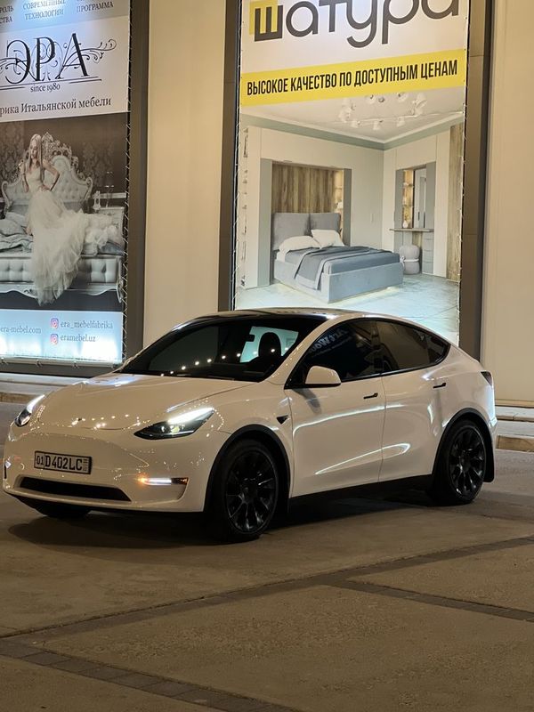 Tesla Model Y Performance Tesla Model Y Performance