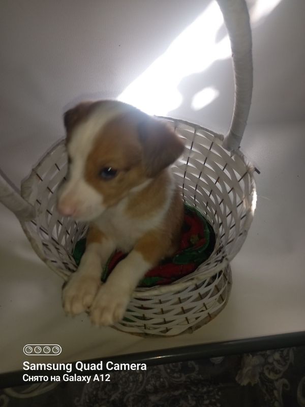 Отдаю добрые ручки малышей