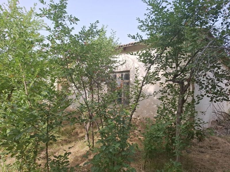 Сайроб МФЙ, Октом кучаси