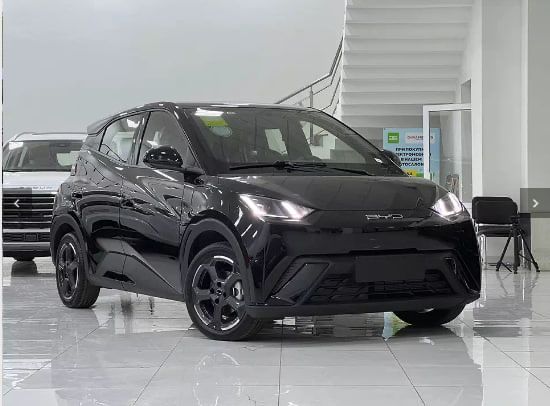 BYD Seagull 2024,2025
