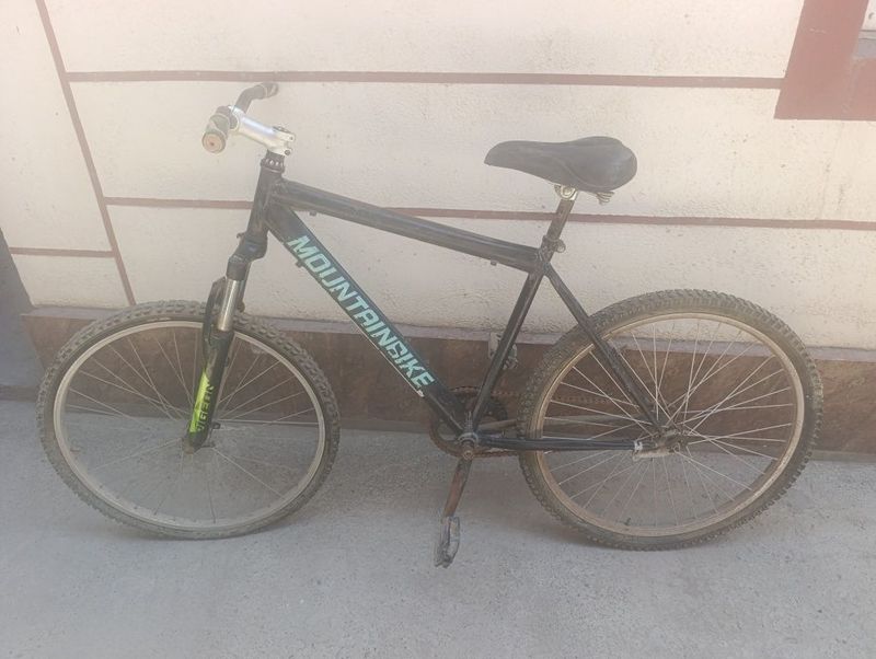 Velosepet sotiladi