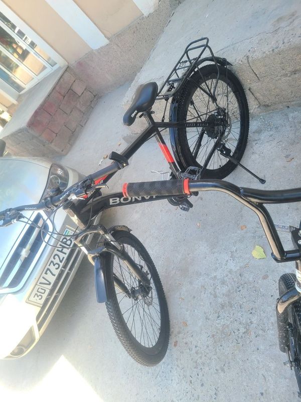 Velik 26 skorist Velik 26 skorist