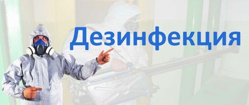 Дезинфекция и дератизация квартир и домов Дезинфекция и дератизация квартир и домов