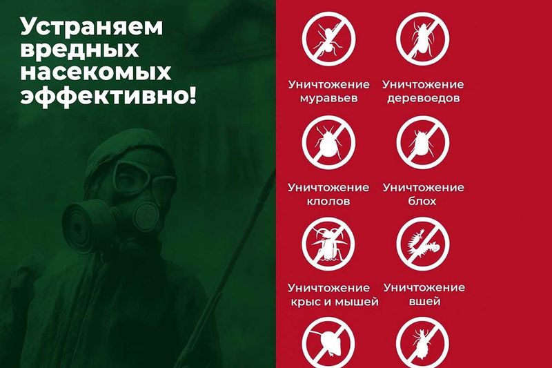 Dezinfeksiya Дезинфекция клопы таракан Обработка деревья Daraxt D-1 Dezinfeksiya Дезинфекция клопы таракан Обработка деревья Daraxt D-1