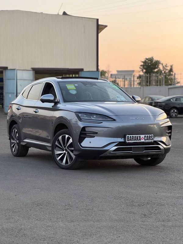 BYD CHEMPION 605 km new BYD CHEMPION 605 km new
