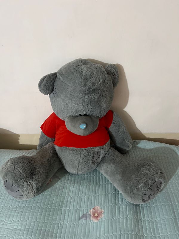 Yengi teddi ayiq Yengi teddi ayiq