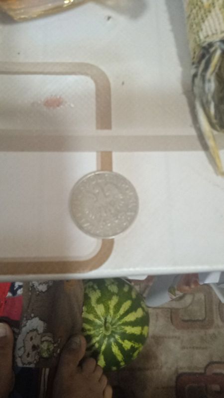 1929yilgi 1 zloty 1929yilgi 1 zloty