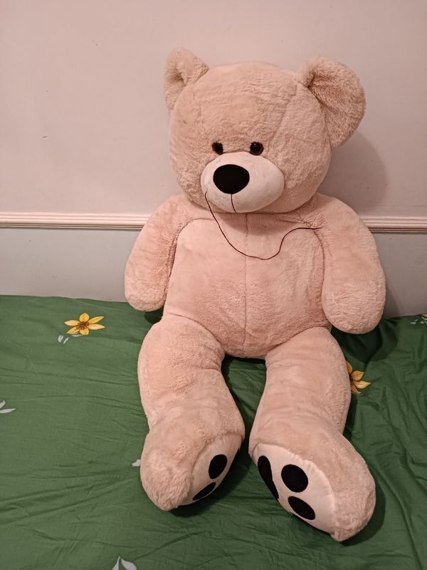 Teddy ayiqchasi sotiladi 250 000 soʻm