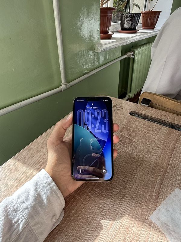 Iphone 13 pro ideal.